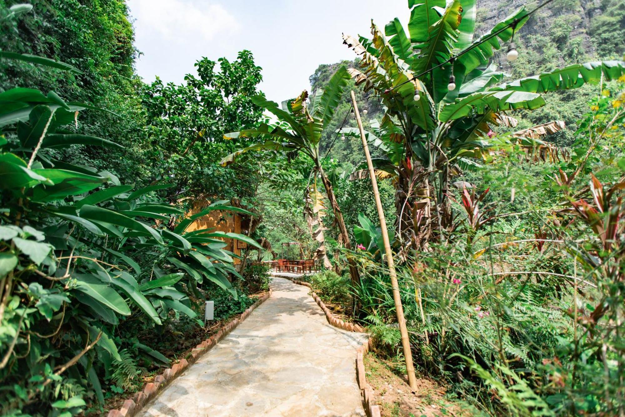 Thung Sen Tam Coc Chalets Ninh Binh Luaran gambar
