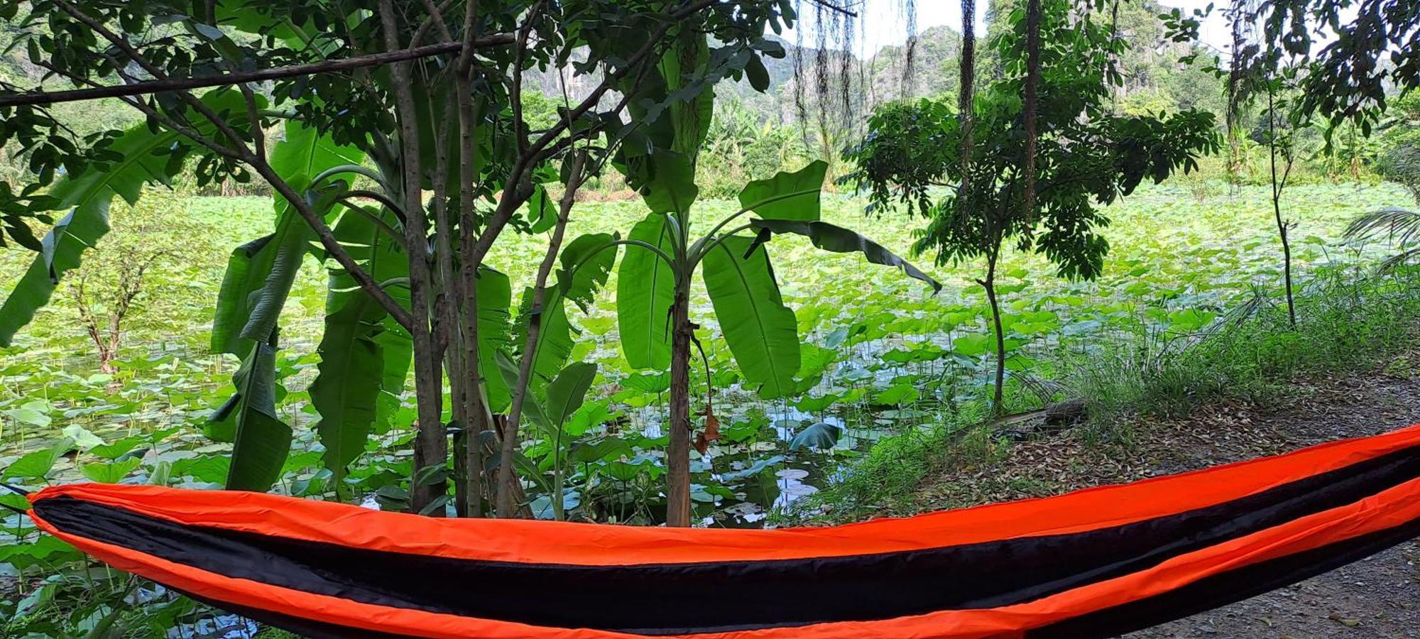 Thung Sen Tam Coc Chalets Ninh Binh Luaran gambar
